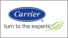 Carrier